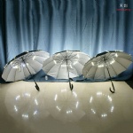 LED light up umbrella