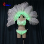 led feathered wings