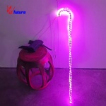 LED dazzling magic wand