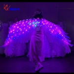 LED glow feather wings