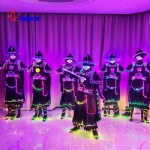 led illuminated samurai suit